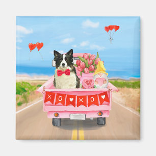 Border Collie Dog Valentine's Day Truck Hearts Magnet