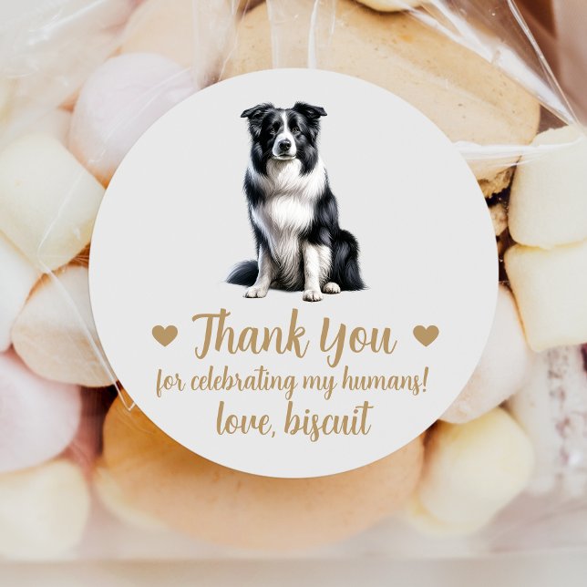 Border Collie Dog Wedding Favor Stickers (Creator Uploaded)