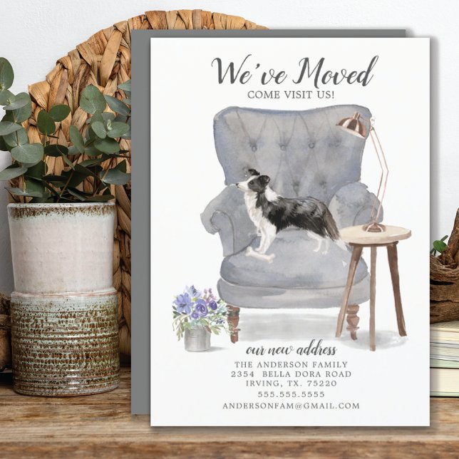 Border Collie Dog We've Moved Moving Announcement (Creator Uploaded)