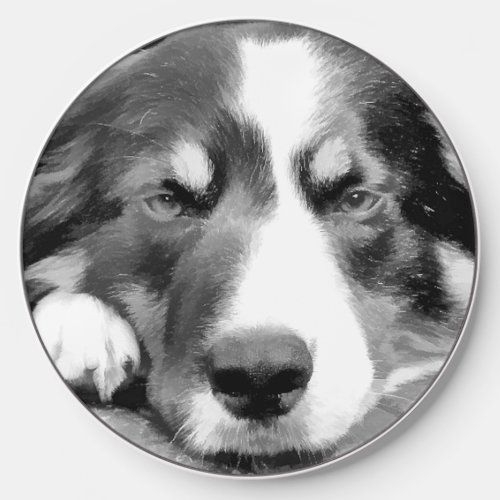 BORDER COLLIE DOG WIRELESS CHARGER 