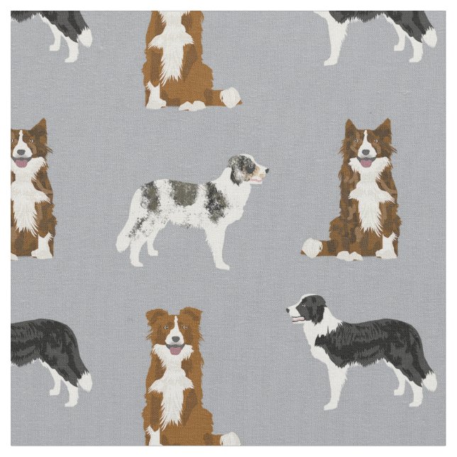 Border collie dogs brown, merle, grey fabric (Close Up)