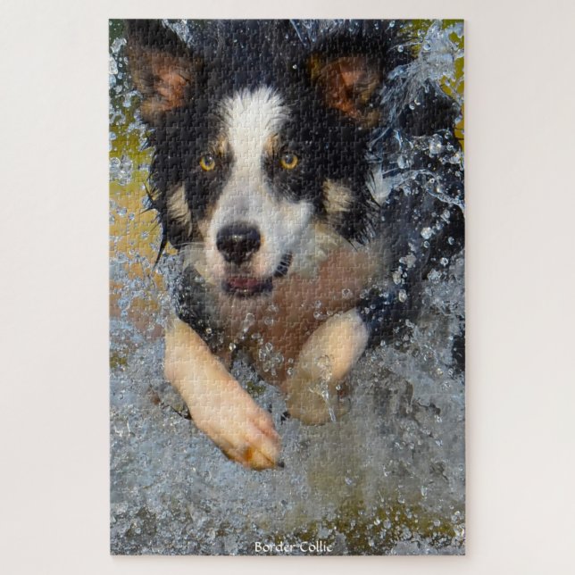 Border Collie Dogs. Jigsaw Puzzle (Vertical)