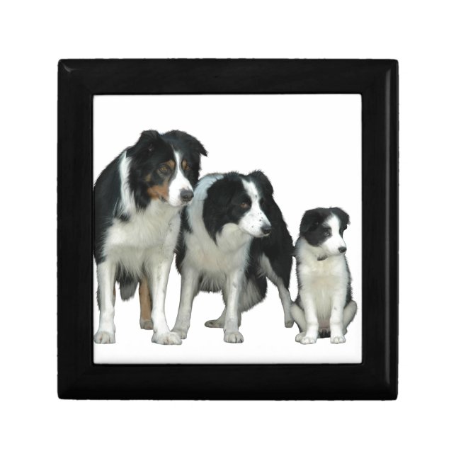 Border Collie Dogs Keepsake Box (Front)