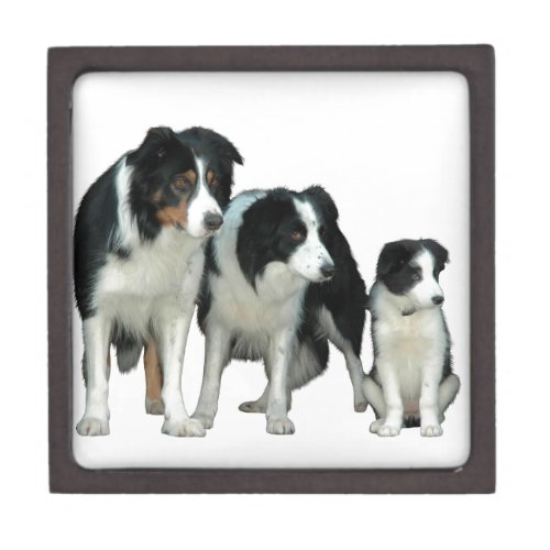 Border Collie Dogs Keepsake Box