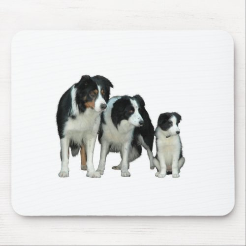 Border Collie Dogs Mouse Pad