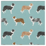 border collie dogs pet light blue fabric