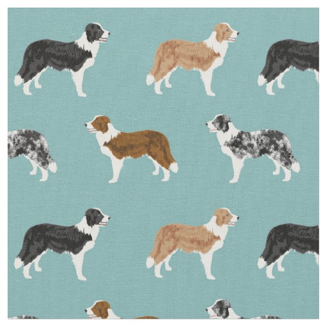 border collie dogs pet light blue fabric (Close Up)