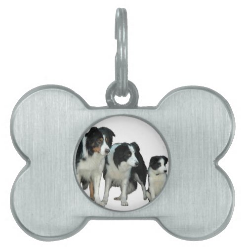 Border Collie Dogs Pet Tag