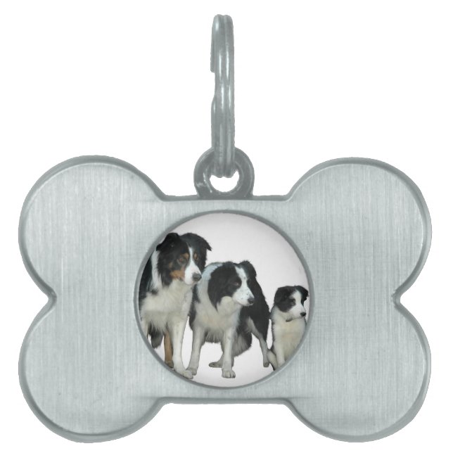 Border Collie Dogs Pet Tag (Front)