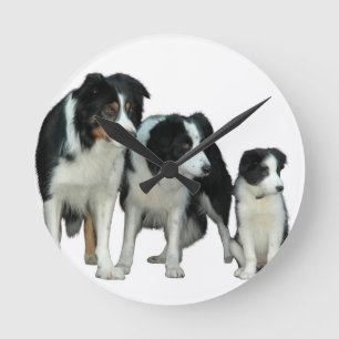 Border Collie Dogs Round Clock