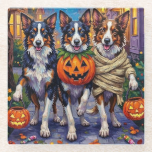 Border Collie Dogs Trick-or-Treating in Halloween  Glass Coaster