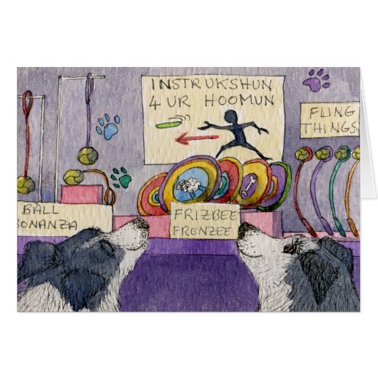 Border Collie dogs window shopping Cards (Front Horizontal)