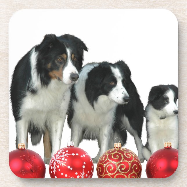 Border Collie Dogs with Red Christmas Ornaments Drink Coaster (Front)