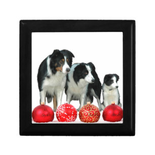 Border Collie Dogs with Red Christmas Ornaments Jewelry Box