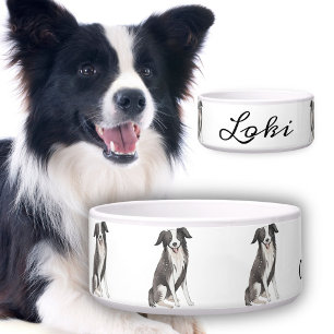 Border Collie Drawing Dog`s Name Bowl