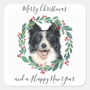 Border Collie Elegant Dog Merry Christmas Square Sticker