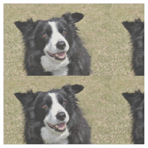 Border collie fabric