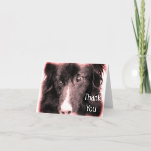 Border Collie Face Dog Art Thank You Card