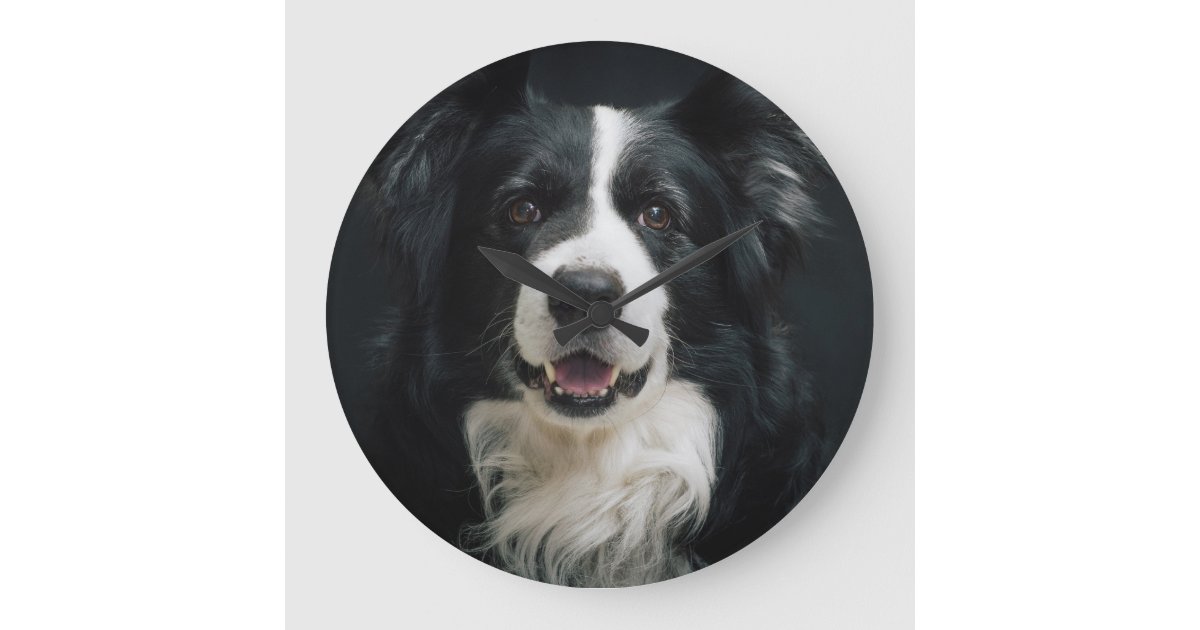 Border Collie Face Large Clock | Zazzle
