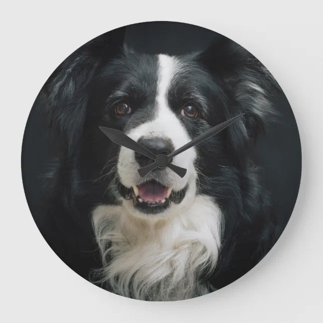 Border Collie Face Large Clock | Zazzle