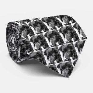 Border Collie Face Pencil Art Neck Tie