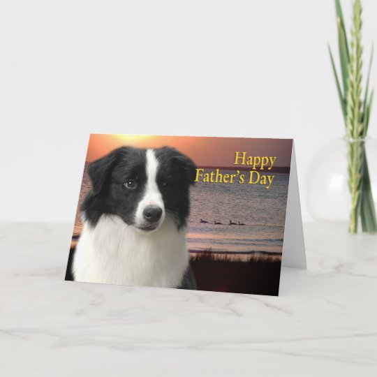 border collie father's day card zazzle