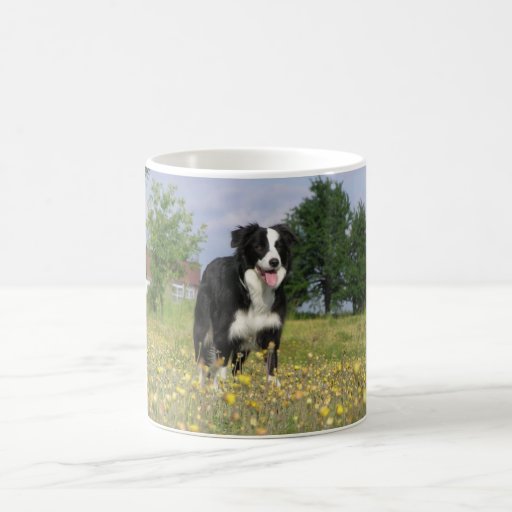 border collie full 3.png coffee mug | Zazzle