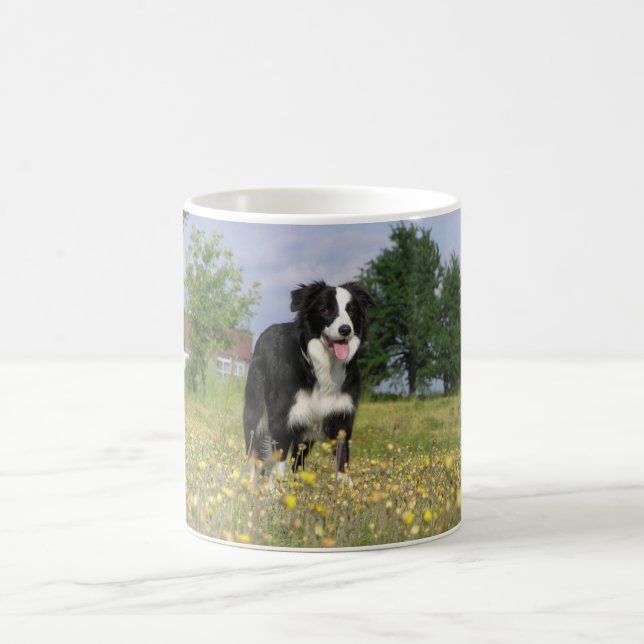 border collie full 3.png coffee mug (Center)