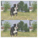 border collie full 3.png fabric