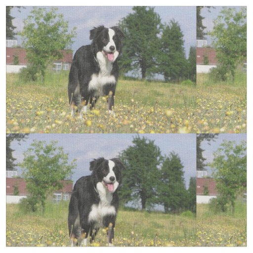 border collie full 3.png fabric