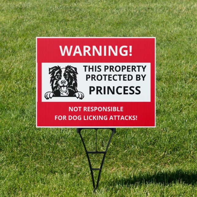 BORDER COLLIE | Funny Beware of Dog Sign (Insitu)