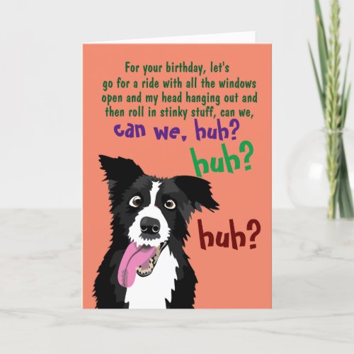 Border Collie Funny Birthday Card for Dog Owner  