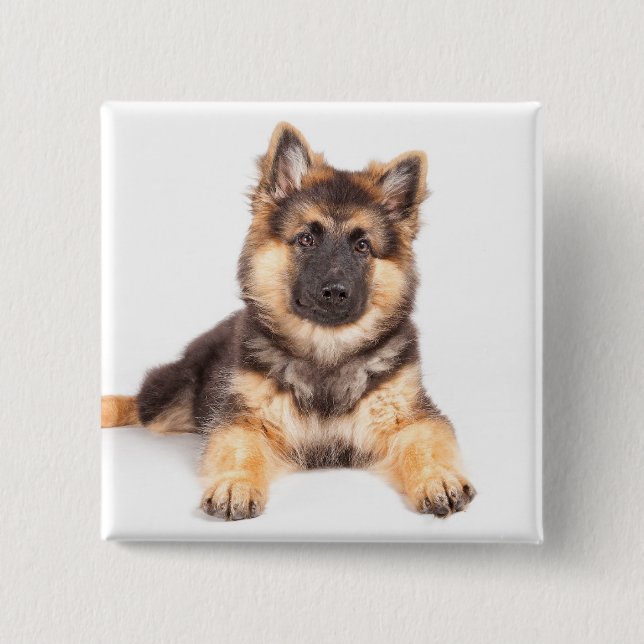 Border Collie German Shepherd Mix Button (Front)