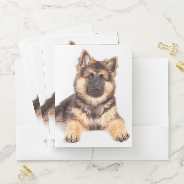 Border Collie German Shepherd Mix Pocket Folder (In Situ)