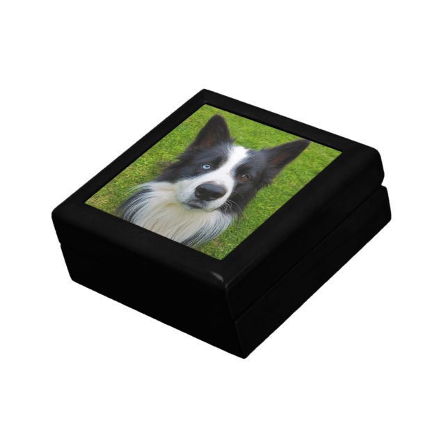 Border Collie Gift Box (Side)