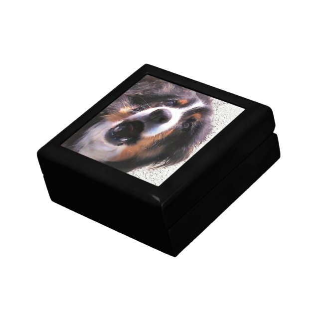 BORDER COLLIE GIFT BOX (Side)