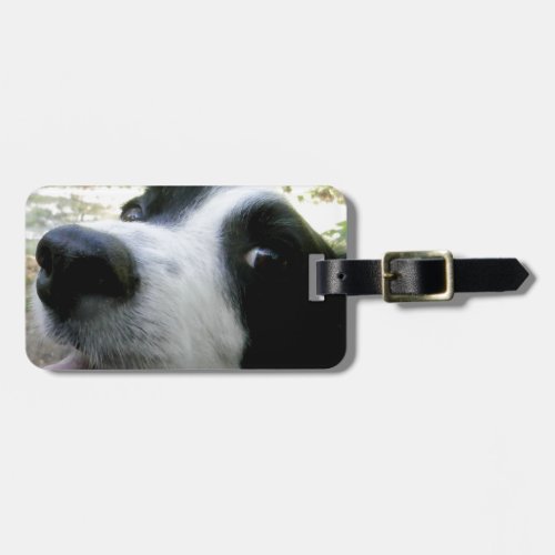 Border Collie Gifts Luggage Tag