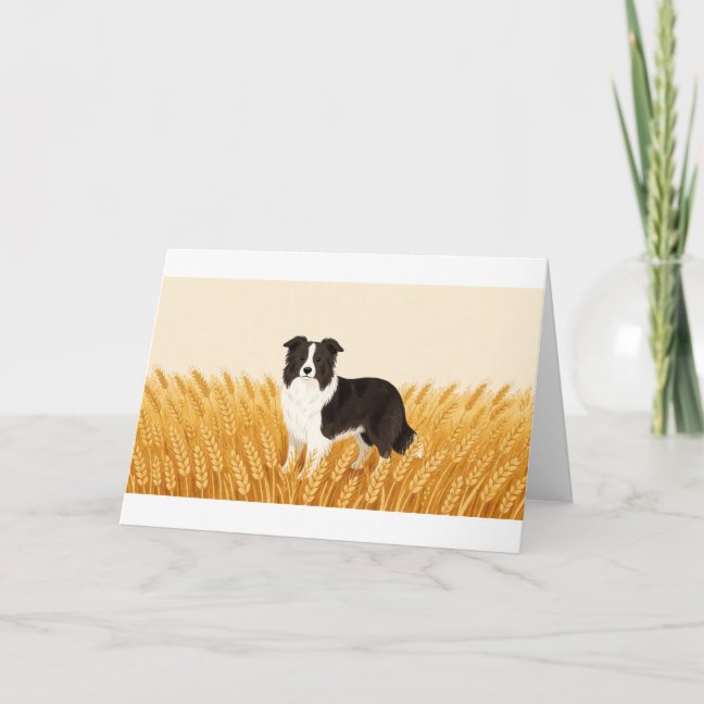 Border Collie Golden Wheat Field Greeting Card