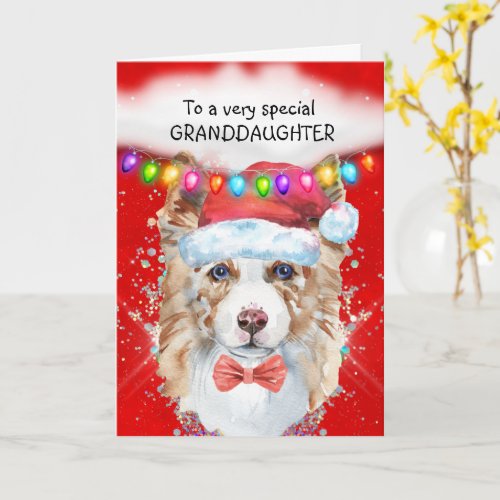 Border Collie granddaughter Christmas wishes Santa Card