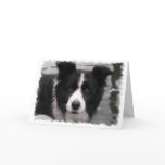Border Collie Greeting Card