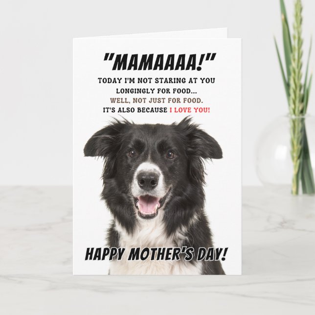 Border Collie Greeting card (Front)