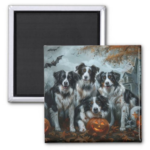 Border Collie Halloween Night Doggy Delight  Magnet