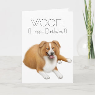 Border Collie Happy Birthday Card