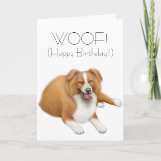 Border Collie Happy Birthday Card
