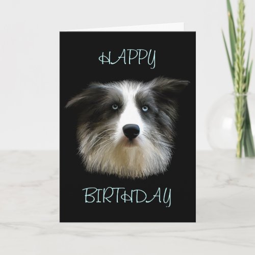 Border Collie Happy Birthday Card