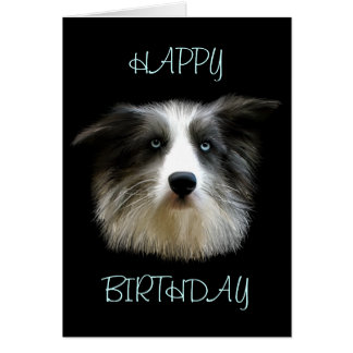 Happy Birthday Border Collie Cards | Zazzle