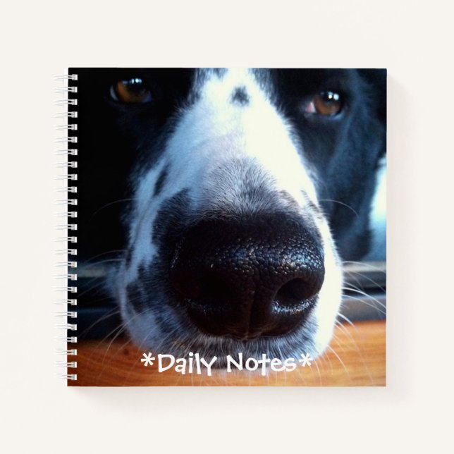Border Collie Heeler Mix Dog Boop My Nose Photo Notebook (Front)