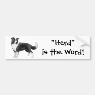 Border Collie Herding Bumper Sticker