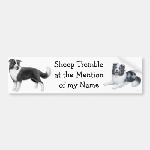 Border Collie Herding Bumper Sticker