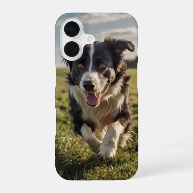 Border Collie Herding Iphone Case (Back)